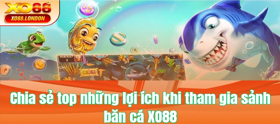 Chia sẻ top những lợi ích khi tham gia sảnh cho tân binh