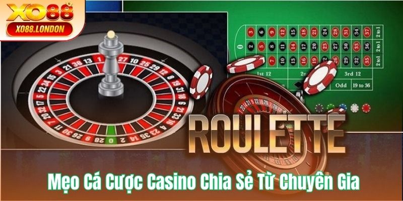 Cá cược Casino tại XO88