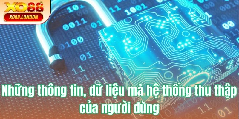 Những thông tin, dữ liệu mà hệ thống thu thập của người dùng