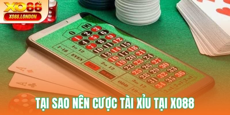 Lý do nên cược tài xỉu tại Xo88
