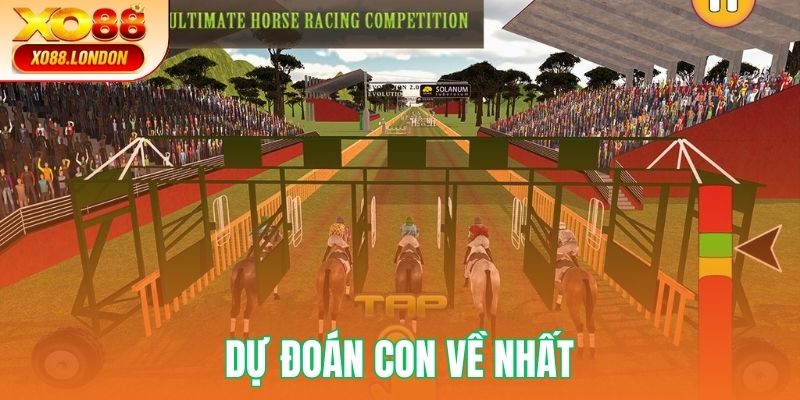 Kèo dự đoán ngựa chạy về sớm nhất