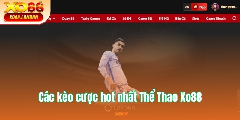 Nội dung giới thiệu về Thể Thao tại Xo88