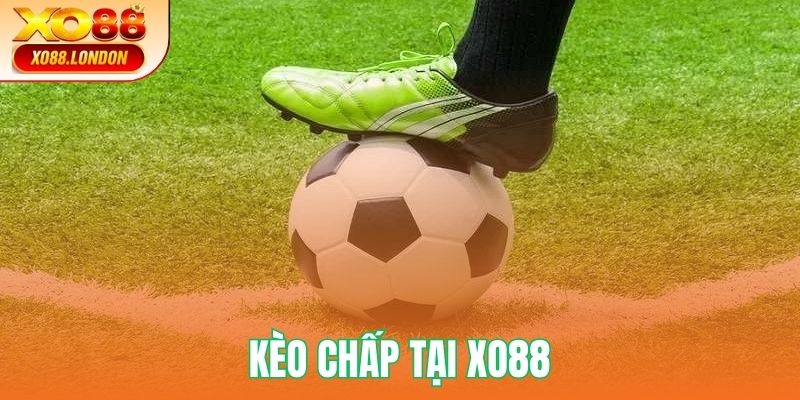 Kèo Chấp Tại Xo88