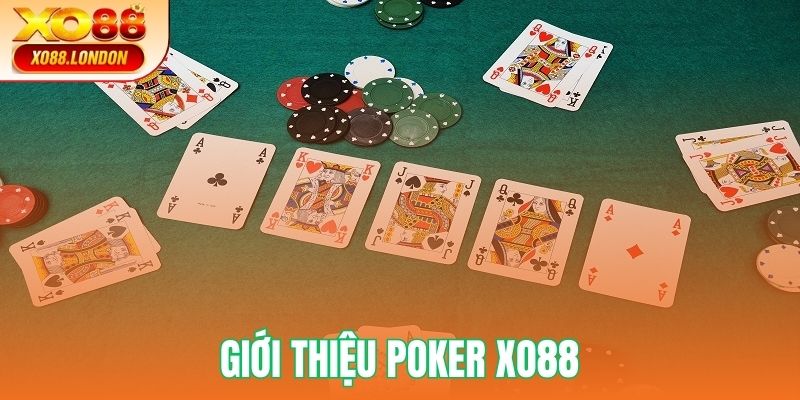 Giới thiệu khái quát Poker Xo88