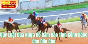 Quy Luật Đua Ngựa tại XO88