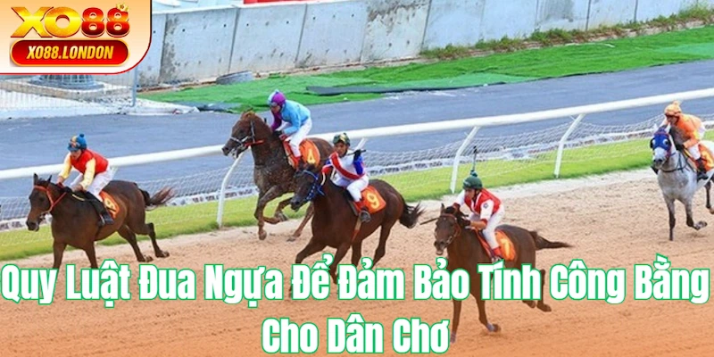 Quy Luật Đua Ngựa tại XO88