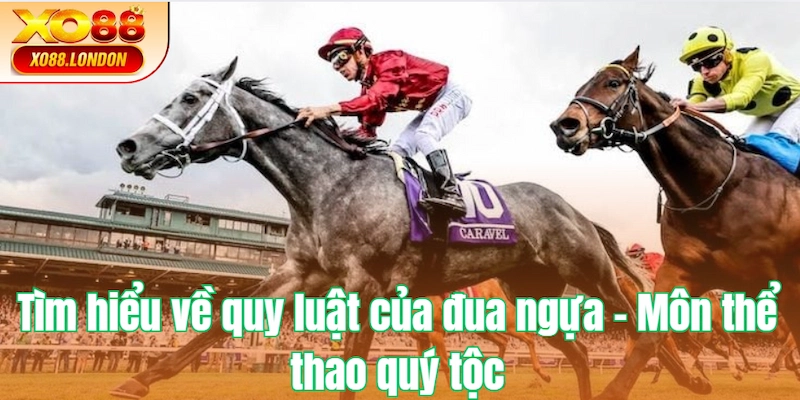 Tìm hiểu về quy luật của đua ngựa - Môn thể thao quý tộc