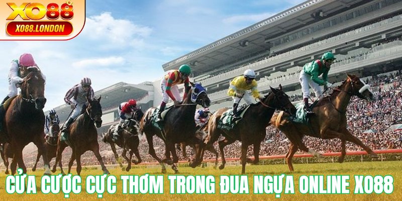 Cửa cược cực thơm trong Đua ngựa online