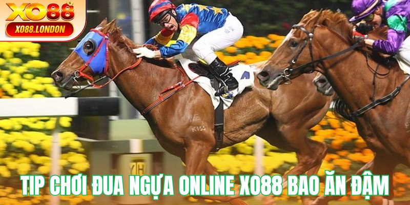 Tip chơi Đua ngựa online bao thắng